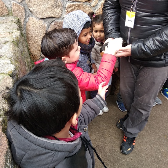 Granja de los Cuentos Infantiles I 4