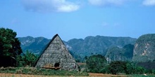 Paisaje rural cubano