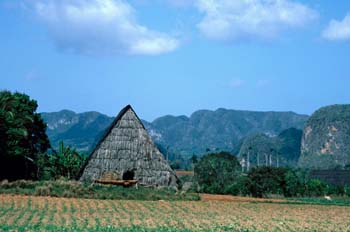 Paisaje rural cubano