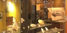 Visita al museo de Ciencias Naturales