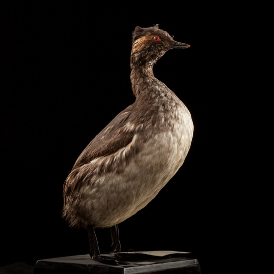 IES_SANISIDRO_BIOLOGIA_015