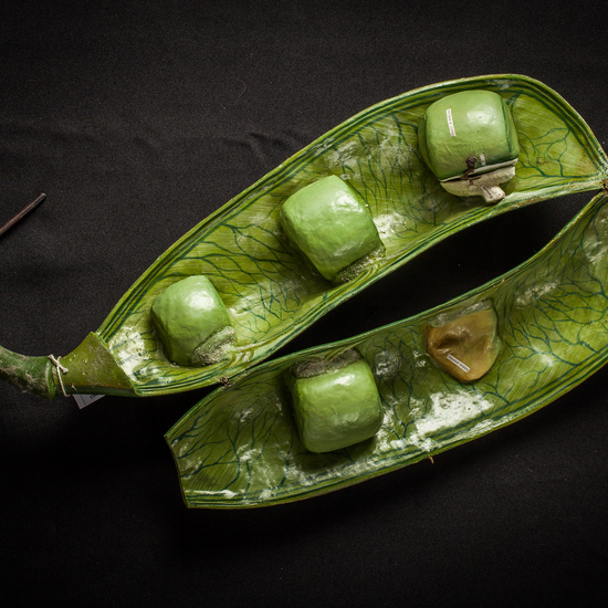 IES_ISABELLACATOLICA_BIOLOGIA_174