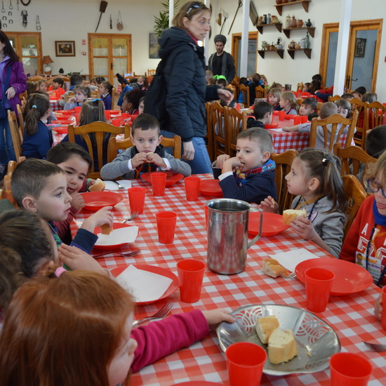 GRANJA ESCUELA ALBITANA 6