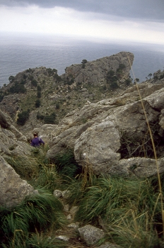 Camino escarpado