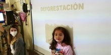 VIDEO 5 AÑOS