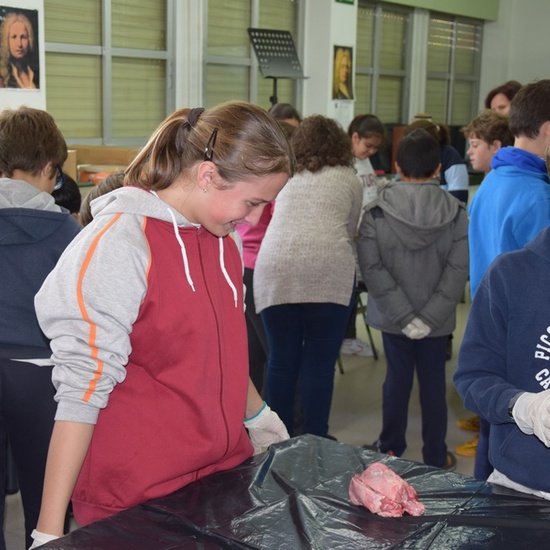 2016_11_DISECCIÓN DEL CRÁNEO Y OJO DE UN CORDERO_SEXTO 4