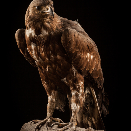 IES_CERVANTES_BIOLOGIA_069