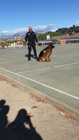 La Unidad Canina de la Policia Municipal de Las Rozas visita el cole_2_CEIP FDLR_Las Rozas_2017  4