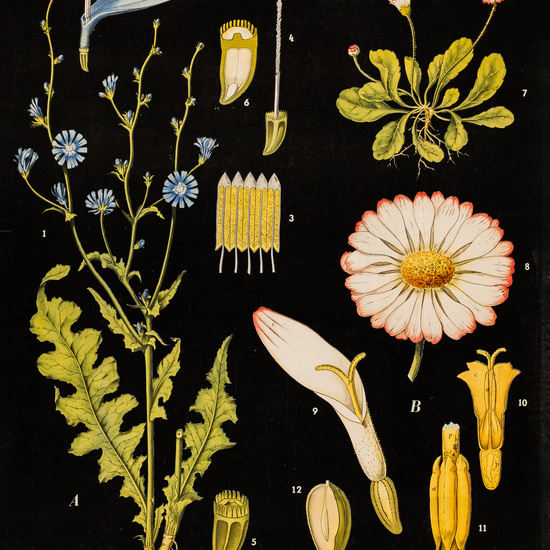 IES_LOPEDEVEGA_CIENCIASNATURALES_009