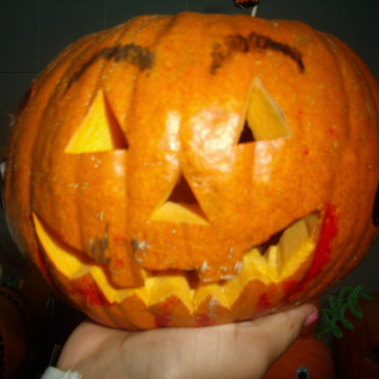 Concurso calabazas 2 6