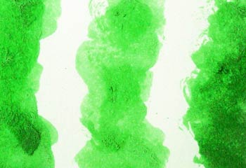 Composición pictórica en verde