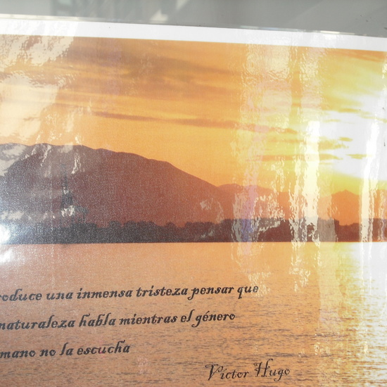 granja quinta parte 42