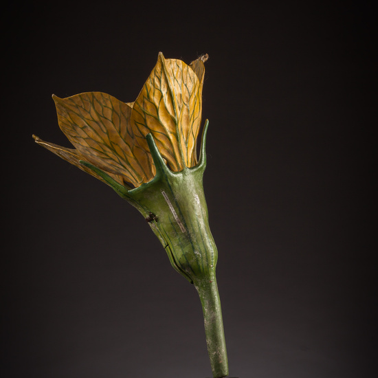 IES_ISABELLACATOLICA_BIOLOGIA_045