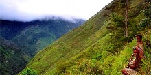 Camino en las laderas del valle, Irian Jaya, Indonesia