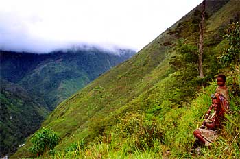 Camino en las laderas del valle, Irian Jaya, Indonesia
