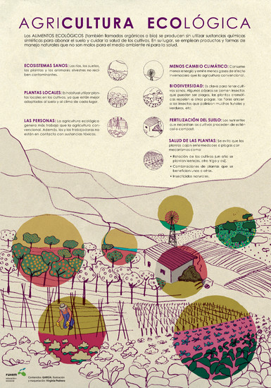 Comida agroecológica