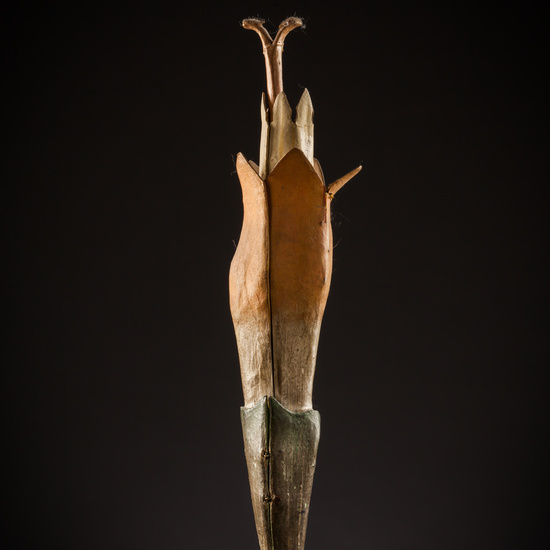 IES_SANISIDRO_BIOLOGIA_201