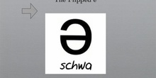 flipped schwa