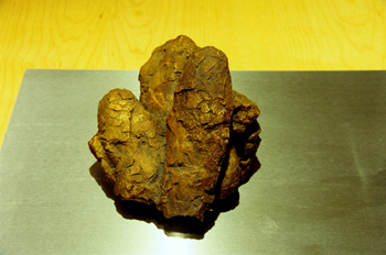 Huevos de dinosaurio carnívoro, Museo del Jurásico de Asturias,