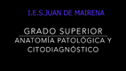 Ciclo formativo de Grado Superior de Anatomía Patológica. IES Juan de Mairena