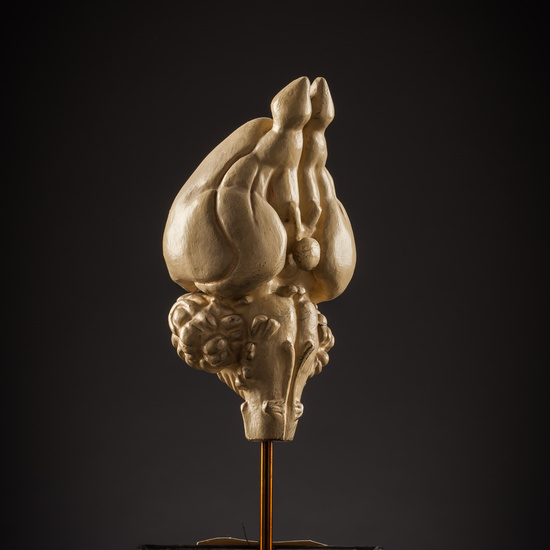 IES_SANISIDRO_BIOLOGIA_182