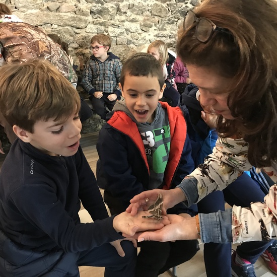 2020_02_27_3º visita Insectpark (5)_CEIP FDLR_Las Rozas 6