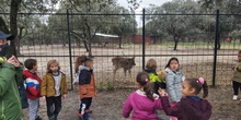 Granja Escuela. E. Infantil