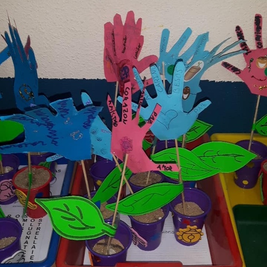 INVERNADEROS PARA LA PAZ 6