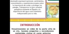 Infografía conocemos nuestro entorno 