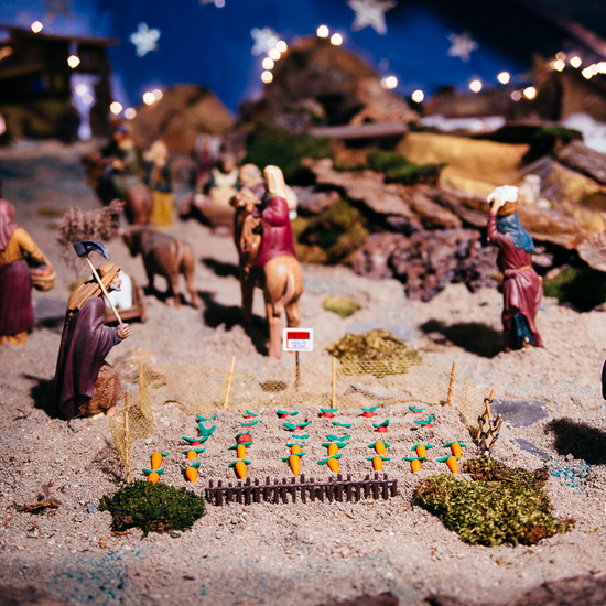 fotos cole navidad 13