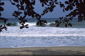 Playa de Sono, Paraty, Rio de Janeiro, Brasil