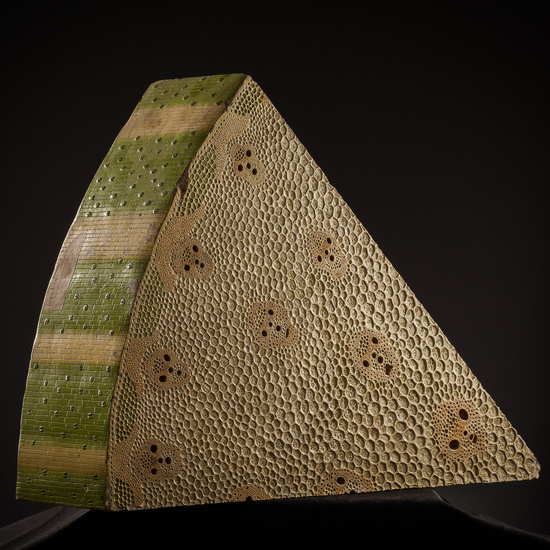 IES_SANISIDRO_BIOLOGIA_213