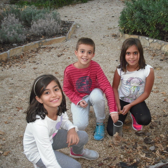 granja sexta parte 28