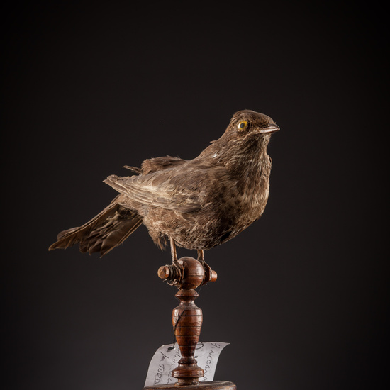 IES_SANISIDRO_BIOLOGIA_373