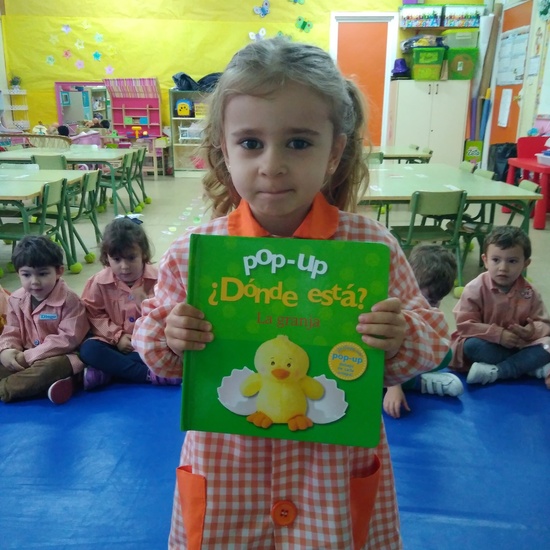 Terminamos nuestro proyecto 17