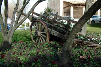 Zona ajardinada, Griñón, Madrid