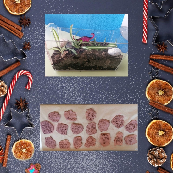 22_12_Proyectobajomispies2_INF5