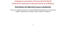 Breve historia del Proyecto SWI