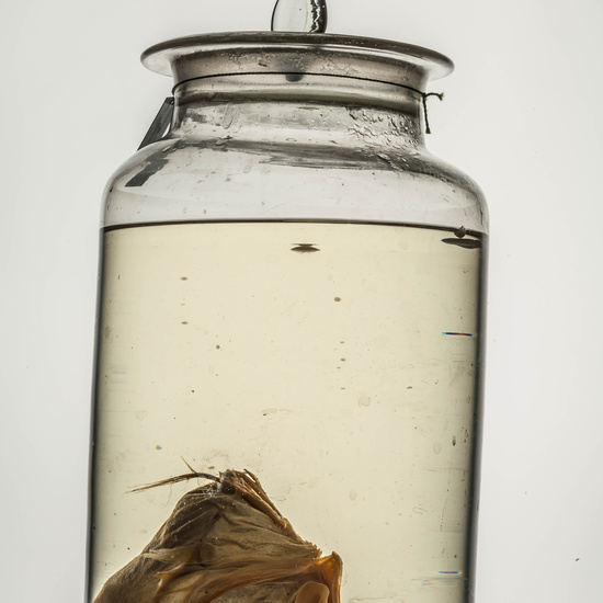 IES_CARDENALCISNEROS_CIENCIASNATURALES_186