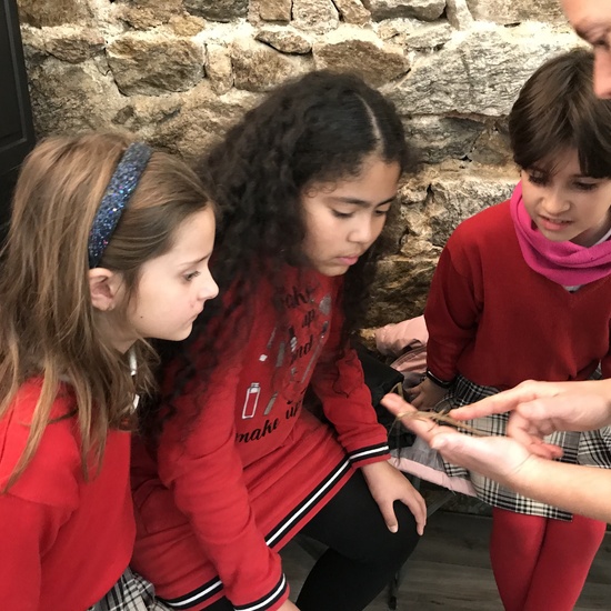 2020_02_27_3º visita Insectpark (3)_CEIP FDLR_Las Rozas 25