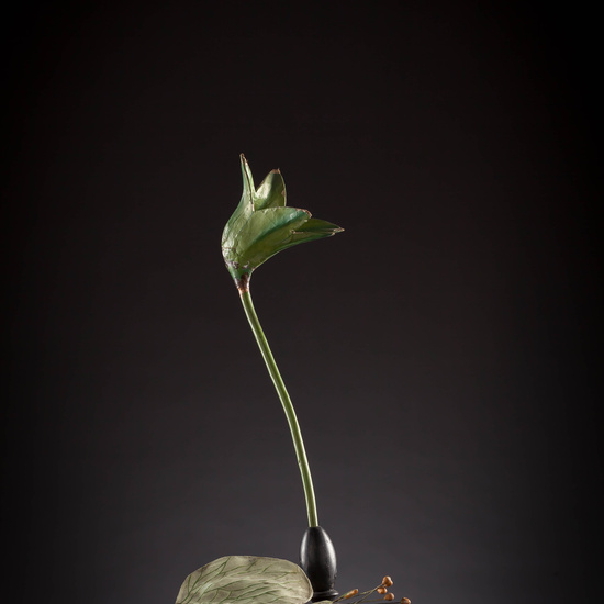 IES_CARDENALCISNEROS_BOTÁNICA_III_MODELOS_024