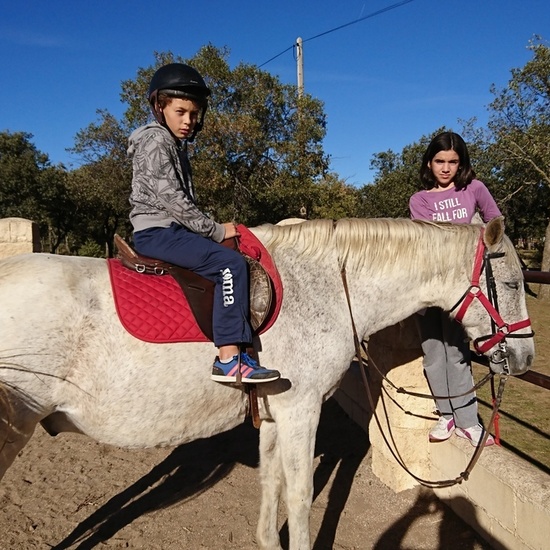 Mohernando 2017_2 25