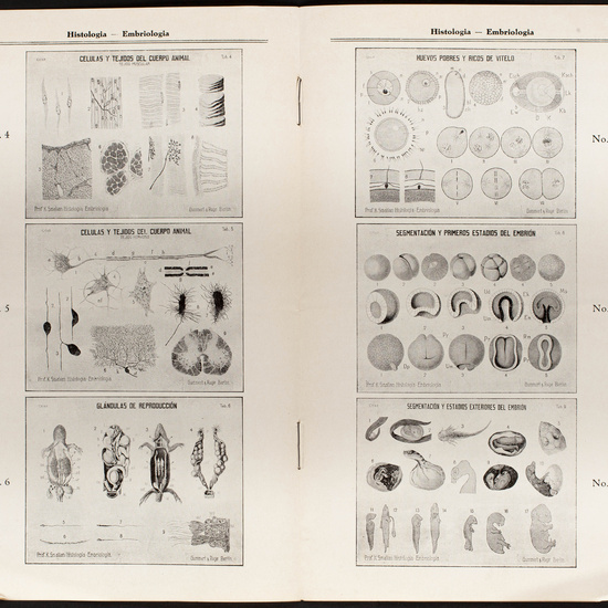 IES_CARDENALCISNEROS_CATALOGOS_023