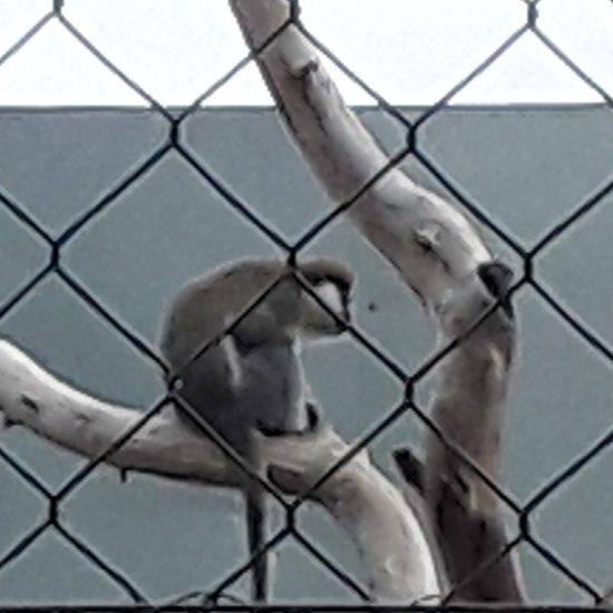 2020-01-15 visita rainfer 9