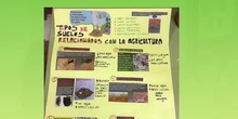 Tipos de suelo. Laura 2ºA