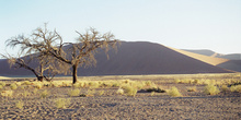 Atardecer en el desierto, Namibia