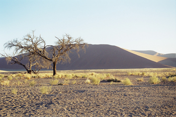 Atardecer en el desierto, Namibia