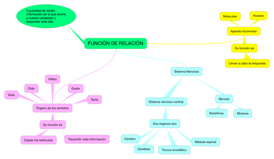 CN_FUNCIÓN DE RELACIÓN_6