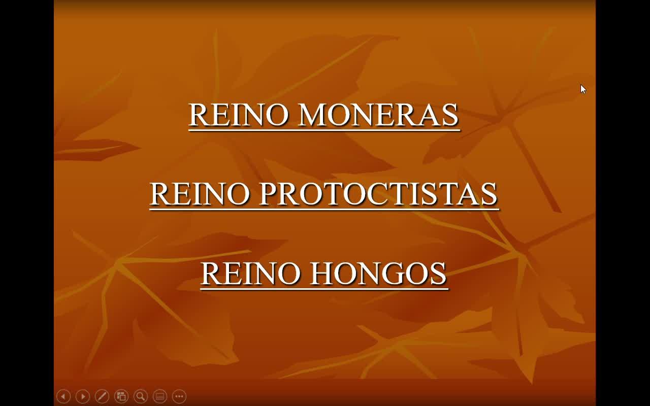 REINOS MONERAS, PROTOCTISTA Y FUNGI | Mediateca de EducaMadrid