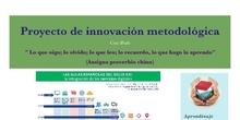 Información Proyecto de Innovación Tecnológica